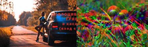 метадон Армянск