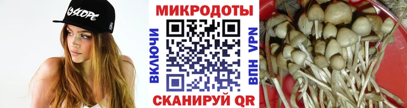 mega маркетплейс Куйбышев Галлюциногенные грибы Magic Shrooms как найти